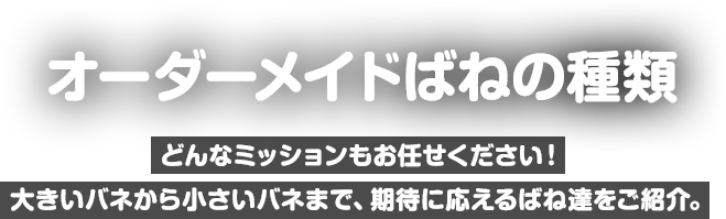 板バネ 板ばね オーダーメイドばねの種類 バネ ばね スプリングの東海バネ工業株式会社